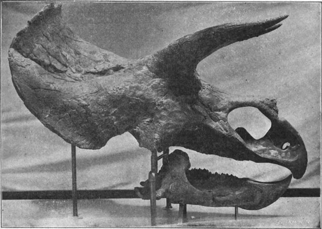 An illustration from Scientific American, Vol. 86, No. 3 (January 1902), 1902, leaf 10