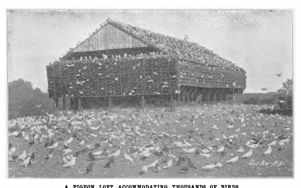 An illustration from Scientific American, Vol. 86, No. 7 (February 1902), 1902, leaf 10