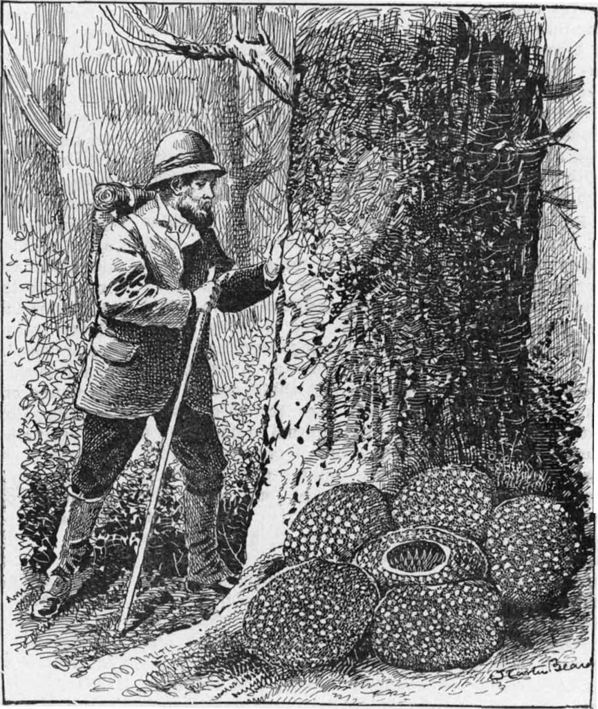 An illustration from Scientific American, Vol. 86, No. 14 (April 1902), 1902, leaf 8