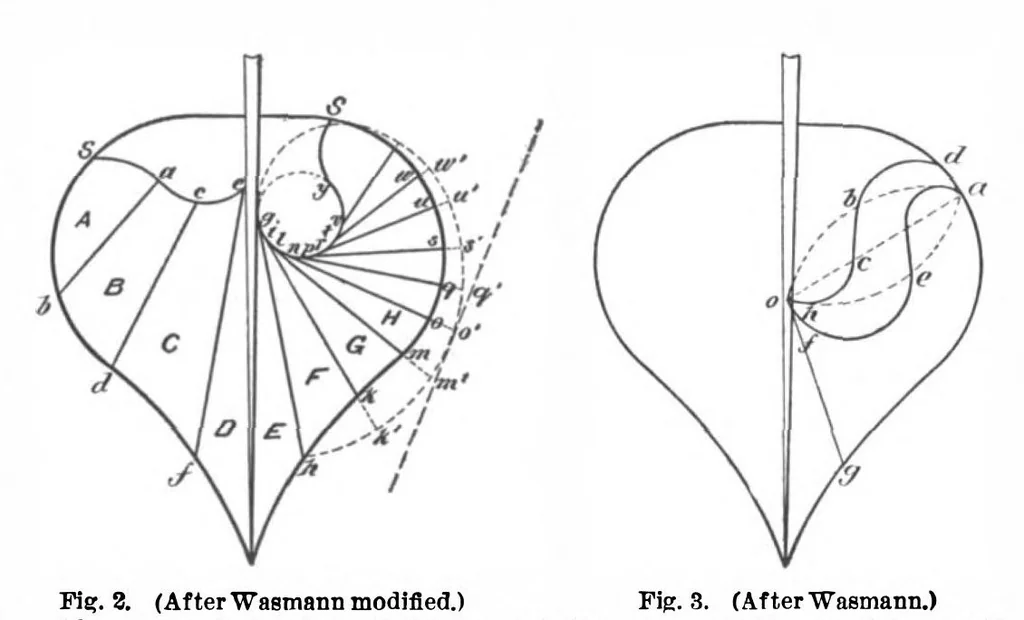 An illustration from Scientific American, Vol. 86, No. 16 (April 1902), 1902, leaf 9