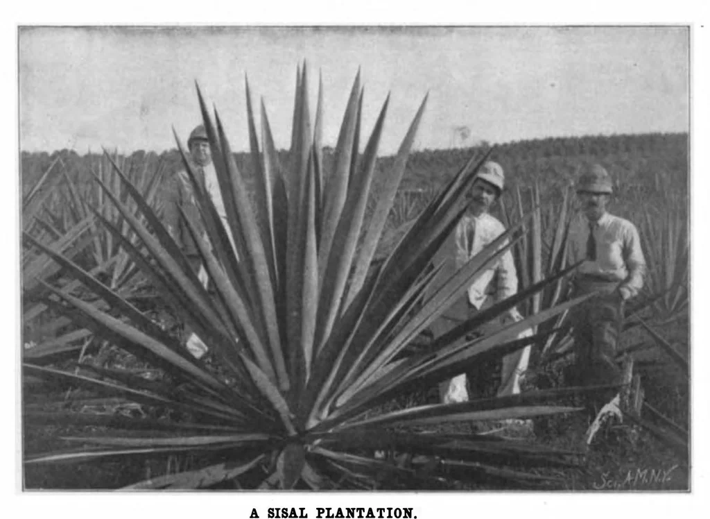 An illustration from Scientific American, Vol. 86, No. 18 (May 1902), 1902, leaf 7