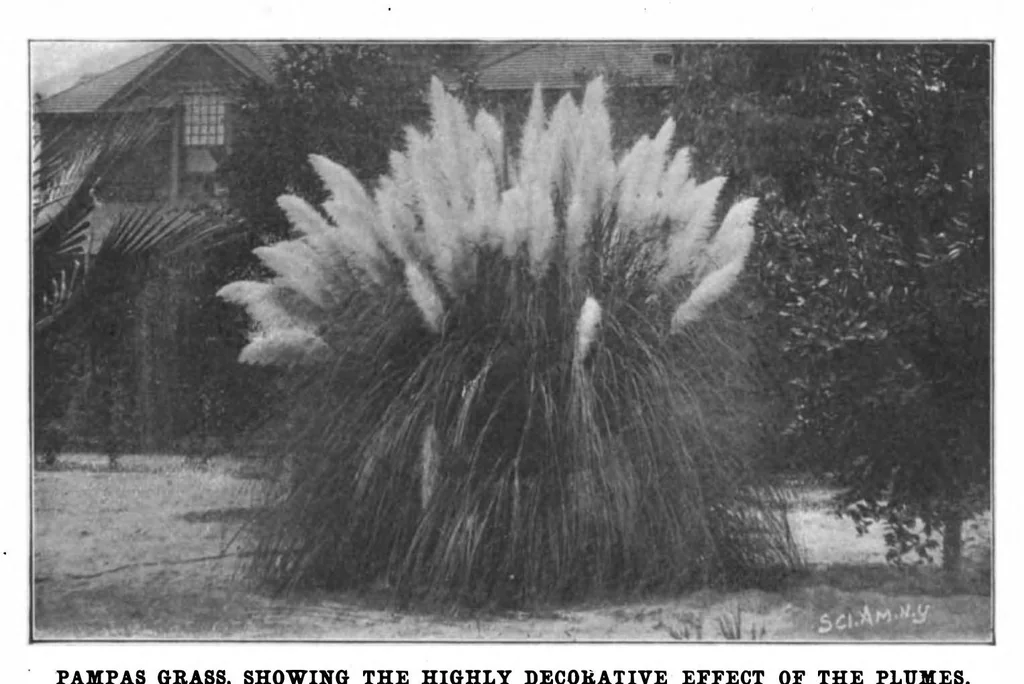 An illustration from Scientific American, Vol. 86, No. 23 (June 1902), 1902, leaf 9