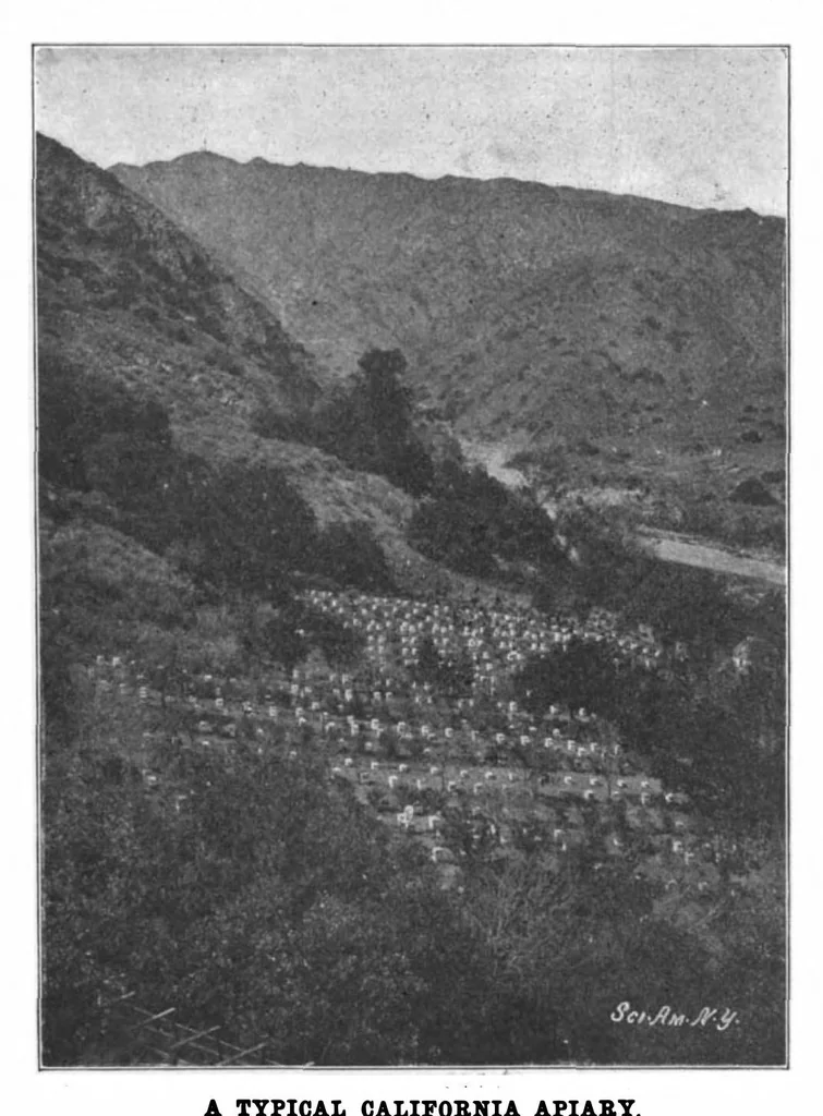 An illustration from Scientific American, Vol. 86, No. 24 (June 1902), 1902, leaf 7