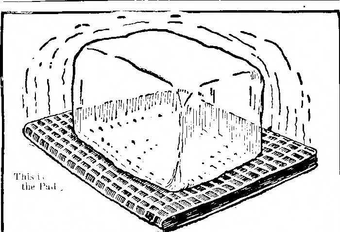 An illustration from Scientific American, Vol. 87, No. 5 (August 1902), 1902, leaf 14