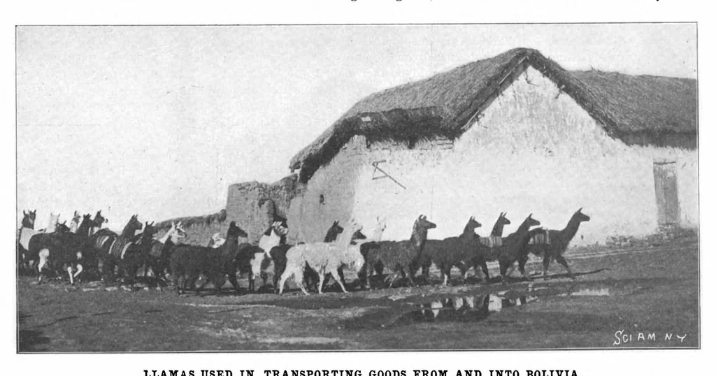 An illustration from Scientific American, Vol. 87, No. 6 (August 1902), 1902, leaf 4