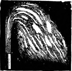 An illustration from Scientific American, Vol. 87, No. 8 (August 1902), 1902, leaf 13