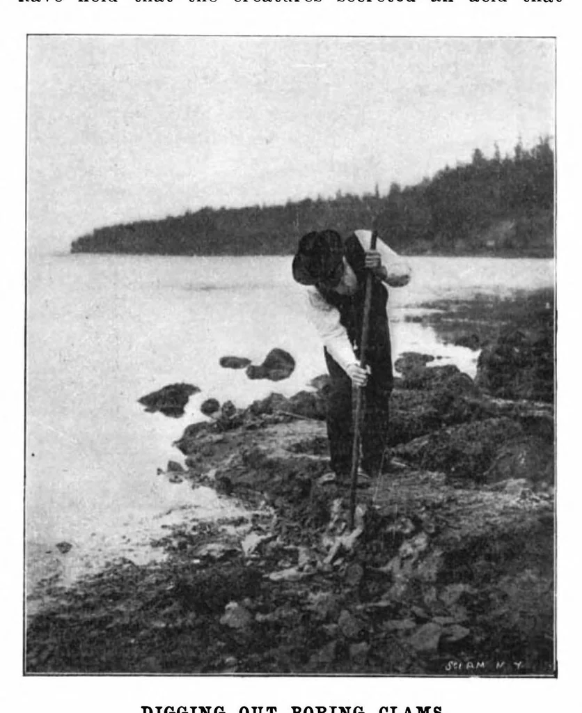 An illustration from Scientific American, Vol. 87, No. 11 (September 1902), 1902, leaf 10