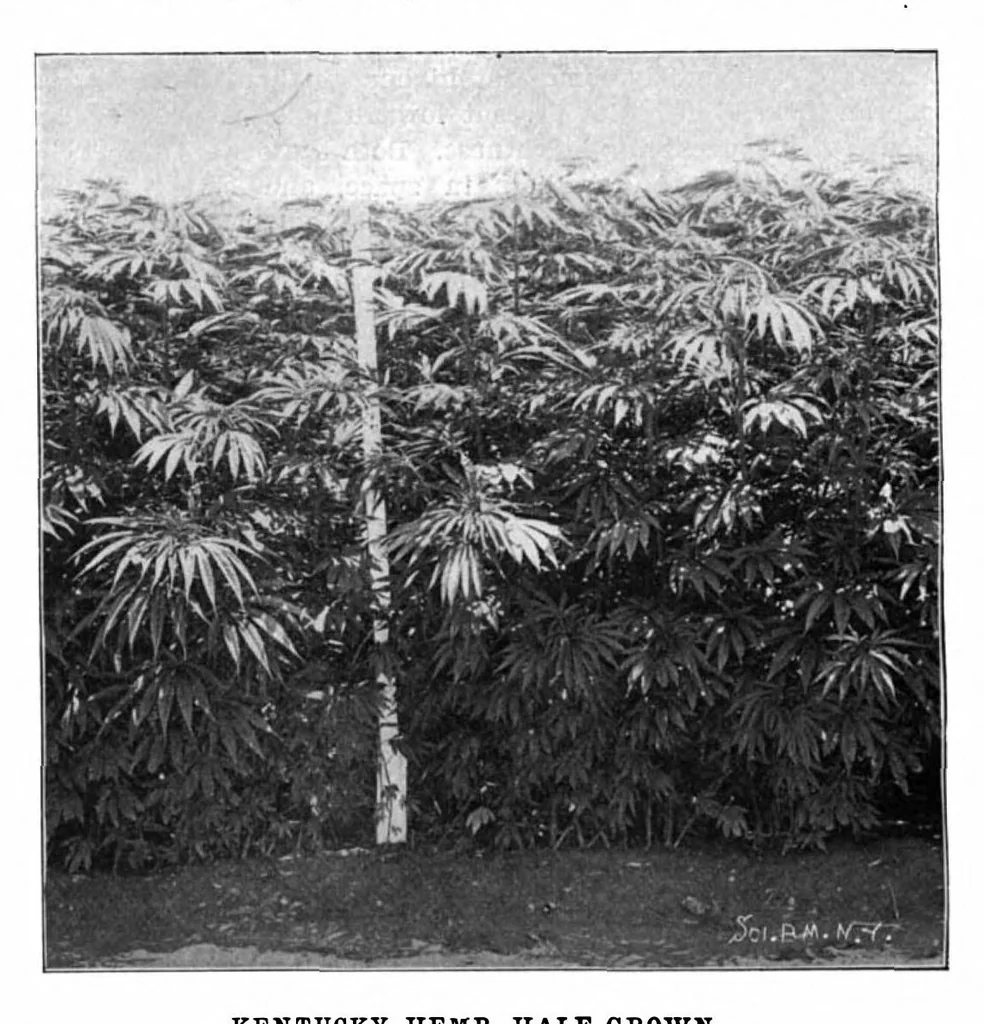 An illustration from Scientific American, Vol. 87, No. 22 (November 1902), 1902, leaf 3