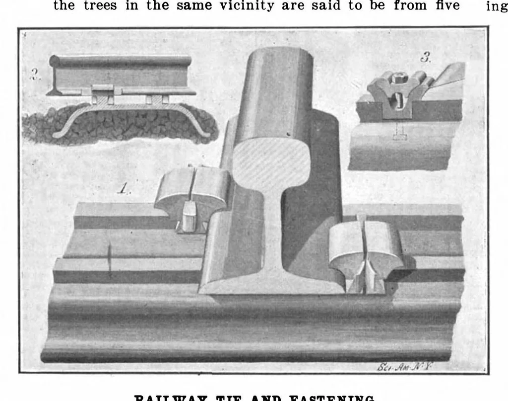 An illustration from Scientific American, Vol. 88, No. 2 (January 1903), 1903, leaf 10