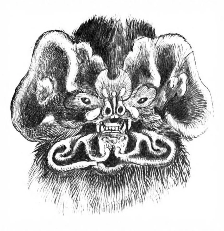 An illustration from Scientific American, Vol. 88, No. 2 (January 1903), 1903, leaf 9