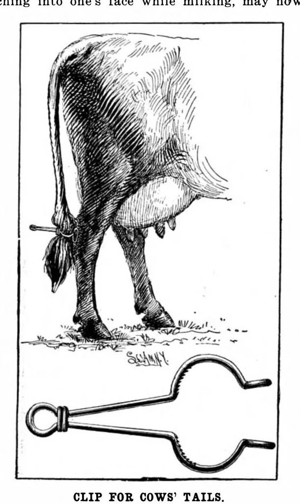 An illustration from Scientific American, Vol. 88, No. 9 (February 1903), 1903, leaf 10