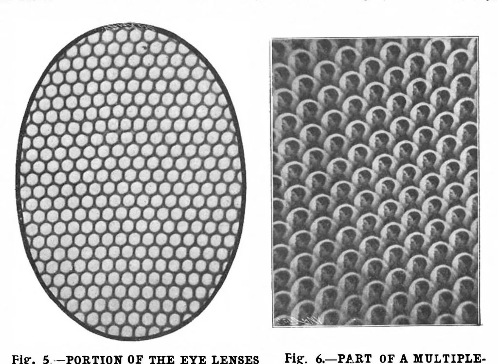 An illustration from Scientific American, Vol. 88, No. 14 (April 1903), 1903, leaf 8