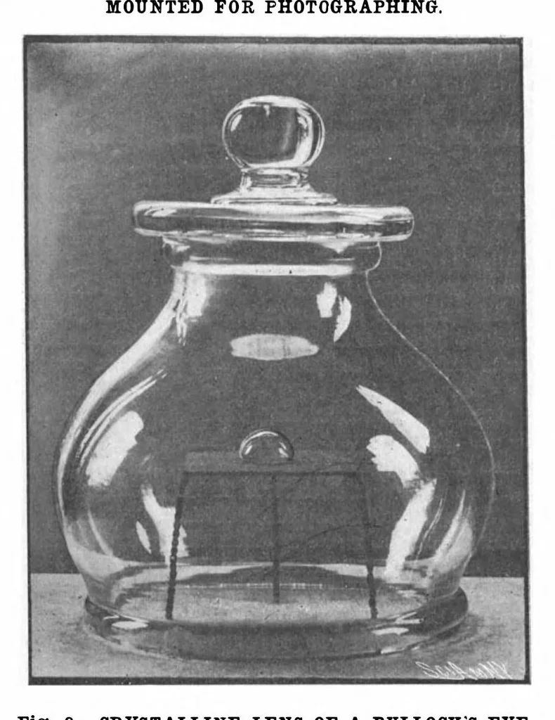An illustration from Scientific American, Vol. 88, No. 14 (April 1903), 1903, leaf 9