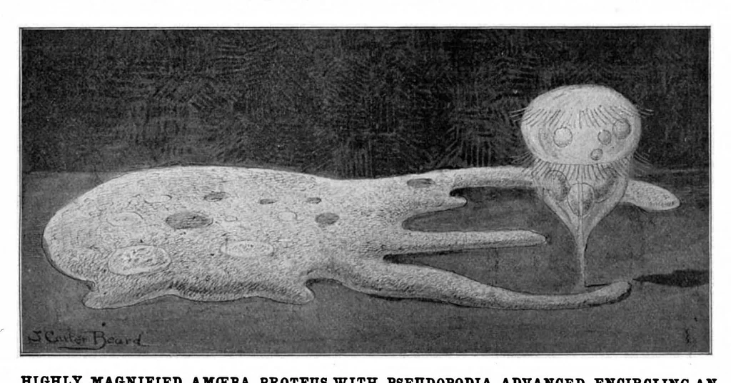 An illustration from Scientific American, Vol. 89, No. 2 (July 1903), 1903, leaf 10