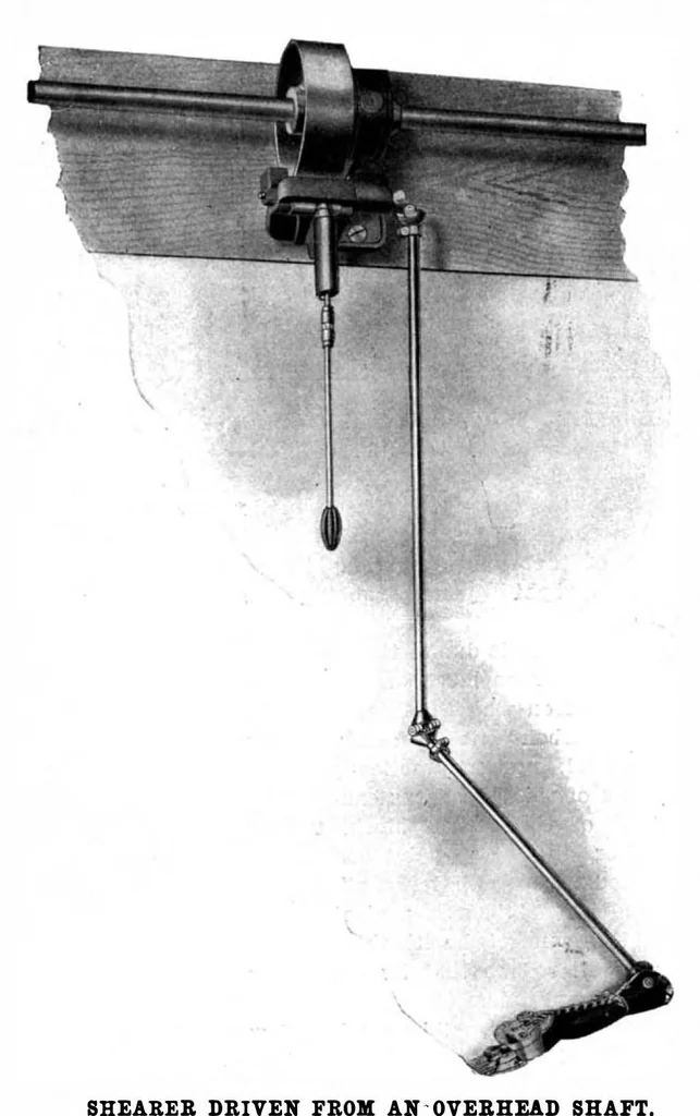 An illustration from Scientific American, Vol. 89, No. 2 (July 1903), 1903, leaf 4