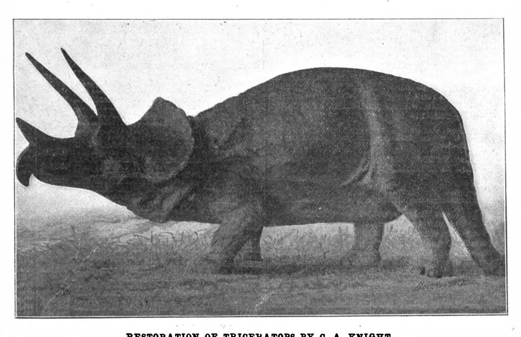 An illustration from Scientific American, Vol. 89, No. 5 (August 1903), 1903, leaf 10