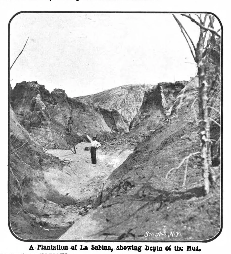 An illustration from Scientific American, Vol. 89, No. 5 (August 1903), 1903, leaf 7