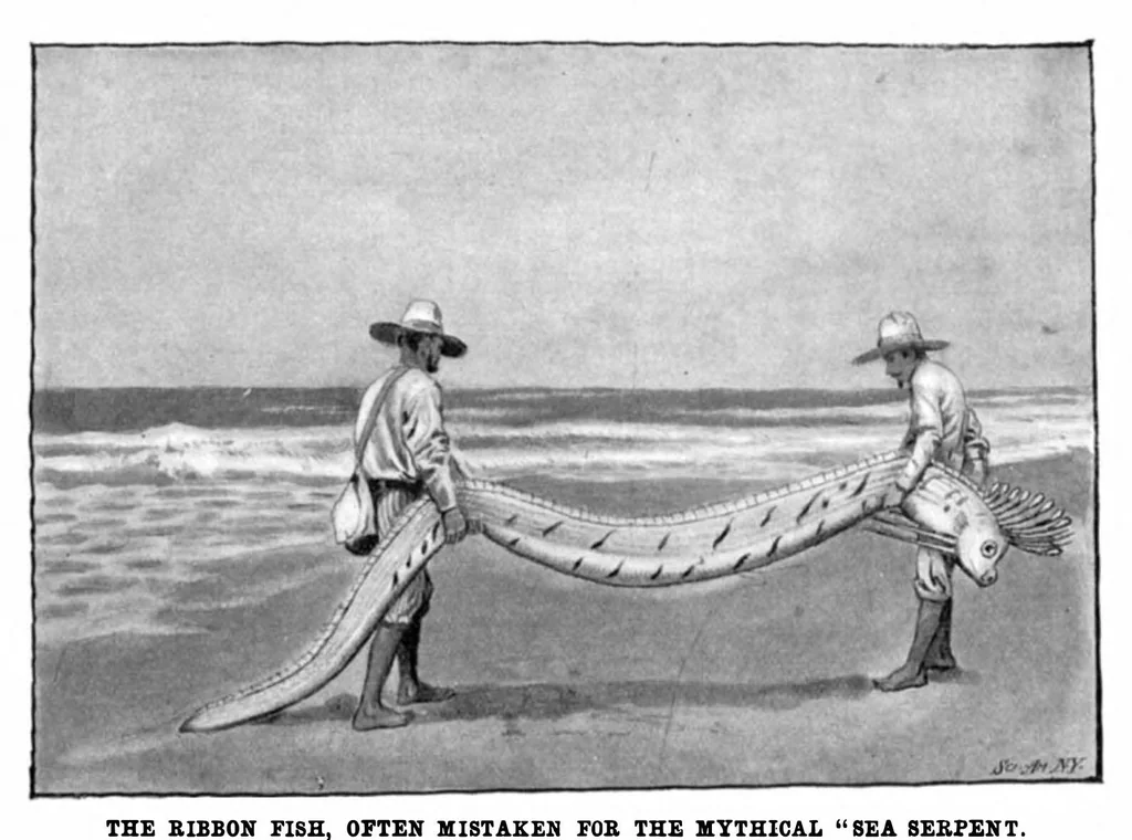 An illustration from Scientific American, Vol. 89, No. 6 (August 1903), 1903, leaf 8
