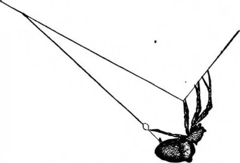 An illustration from Scientific American, Vol. 89, No. 10 (September 1903), 1903, leaf 11