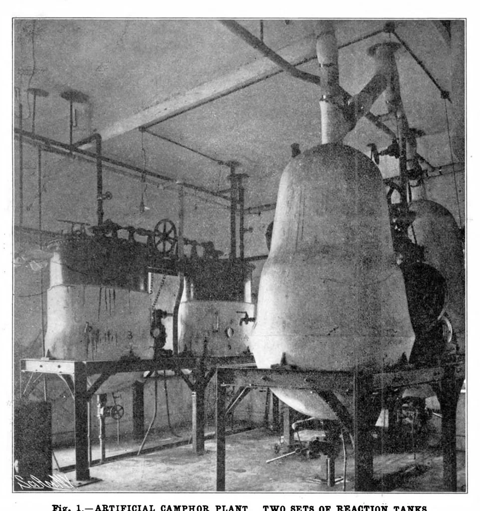An illustration from Scientific American, Vol. 89, No. 21 (November 1903), 1903, leaf 3