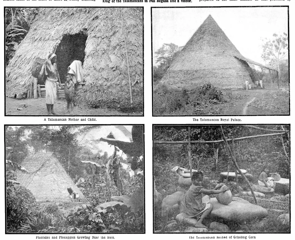 An illustration from Scientific American, Vol. 89, No. 21 (November 1903), 1903, leaf 8