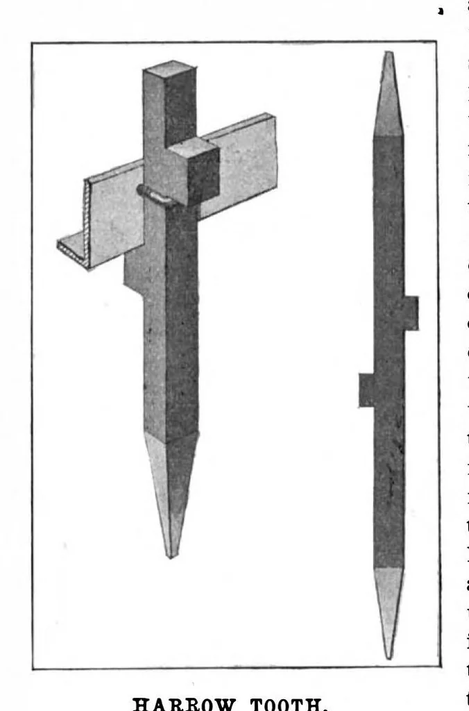 An illustration from Scientific American, Vol. 90, No. 13 (March 1904), 1904, leaf 10