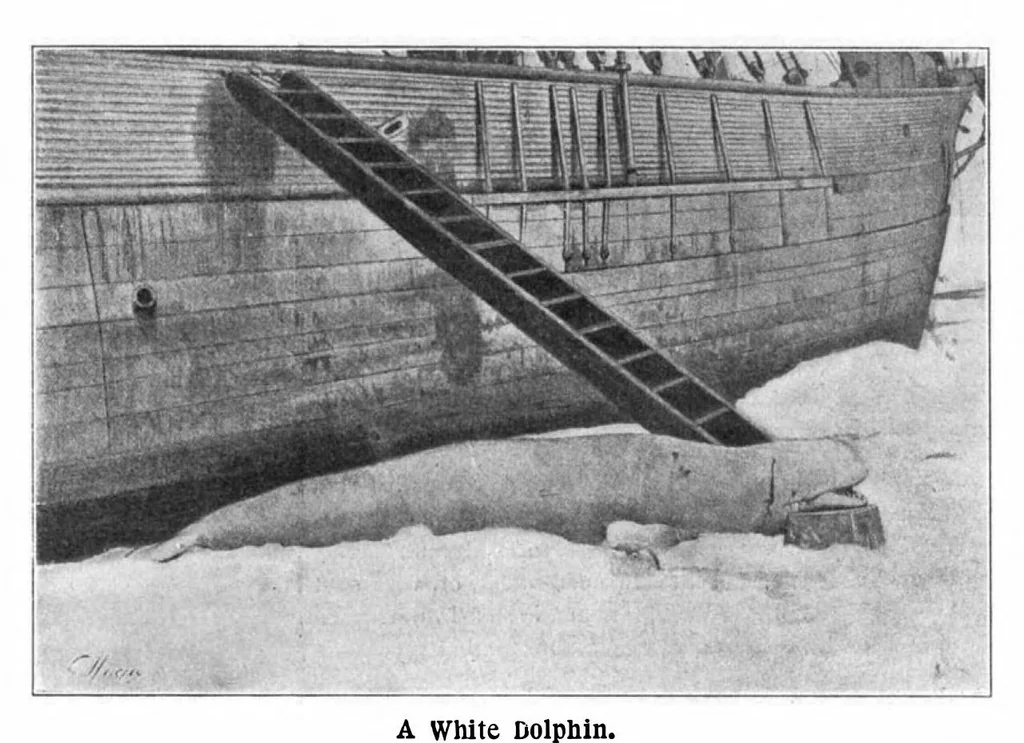 An illustration from Scientific American, Vol. 90, No. 14 (April 1904), 1904, leaf 7