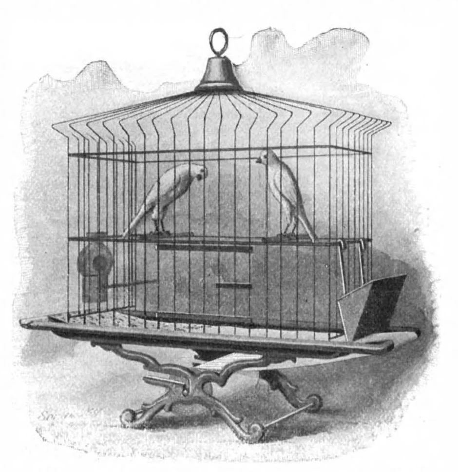 An illustration from Scientific American, Vol. 90, No. 15 (April 1904), 1904, leaf 10