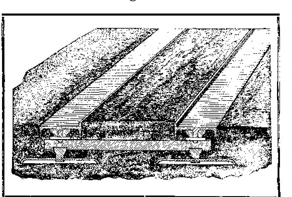 An illustration from Scientific American, Vol. 91, No. 2 (July 1904), 1904, leaf 13