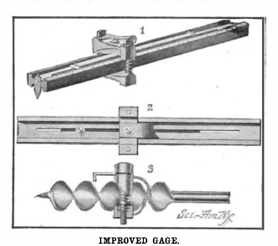 An illustration from Scientific American, Vol. 91, No. 3 (July 1904), 1904, leaf 11