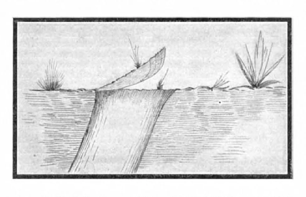 An illustration from Scientific American, Vol. 91, No. 5 (July 1904), 1904, leaf 10