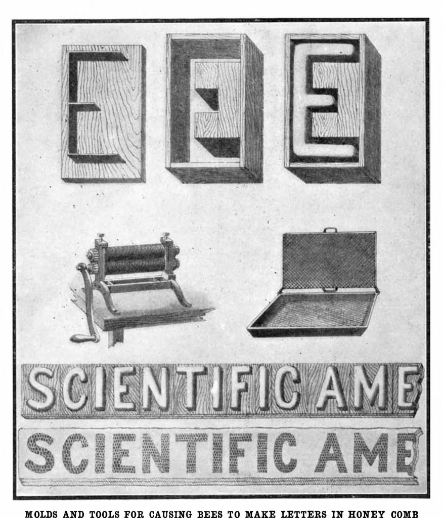 An illustration from Scientific American, Vol. 91, No. 6 (August 1904), 1904, leaf 9