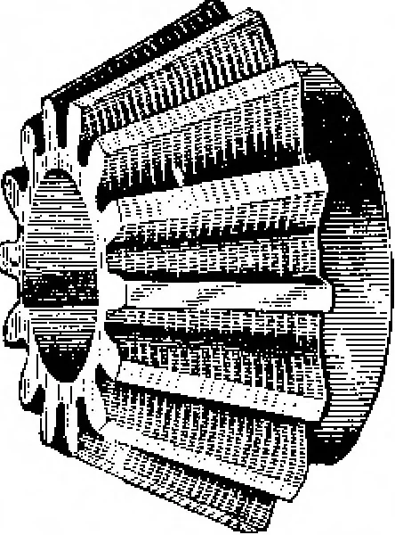 An illustration from Scientific American, Vol. 91, No. 9 (August 1904), 1904, leaf 13