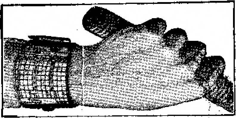 An illustration from Scientific American, Vol. 91, No. 9 (August 1904), 1904, leaf 15