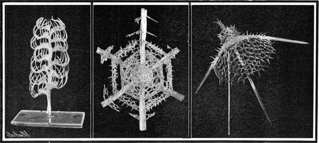 An illustration from Scientific American, Vol. 91, No. 9 (August 1904), 1904, leaf 3