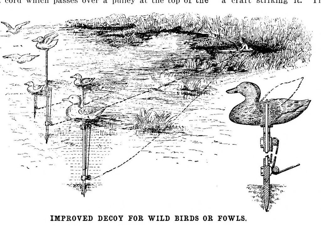 An illustration from Scientific American, Vol. 91, No. 12 (September 1904), 1904, leaf 12