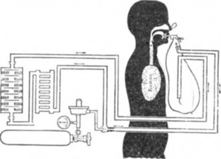 An illustration from Scientific American, Vol. 91, No. 14 (October 1904), 1904, leaf 5