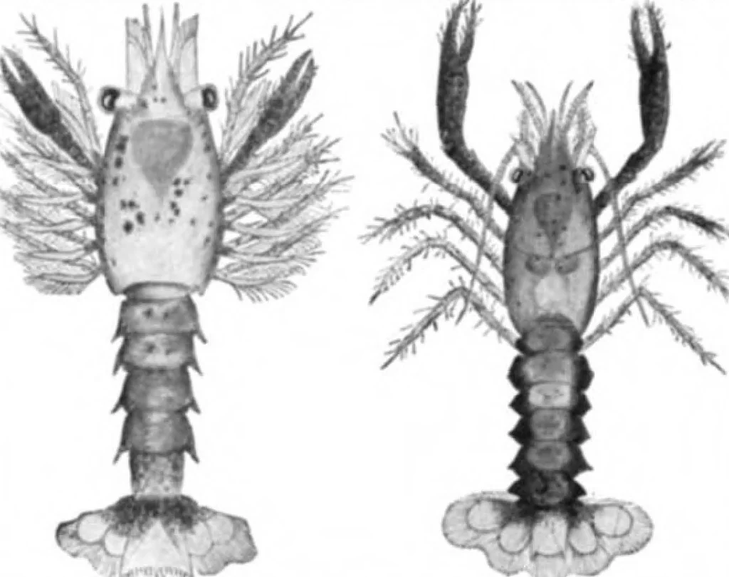 An illustration from Scientific American, Vol. 91, No. 14 (October 1904), 1904, leaf 8