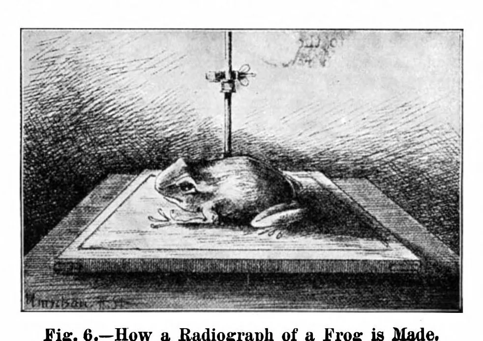 An illustration from Scientific American, Vol. 91, No. 25 (December 1904), 1904, leaf 3