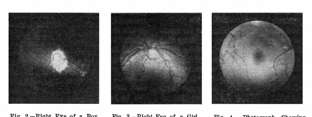 An illustration from Scientific American, Vol. 91, No. 25 (December 1904), 1904, leaf 9
