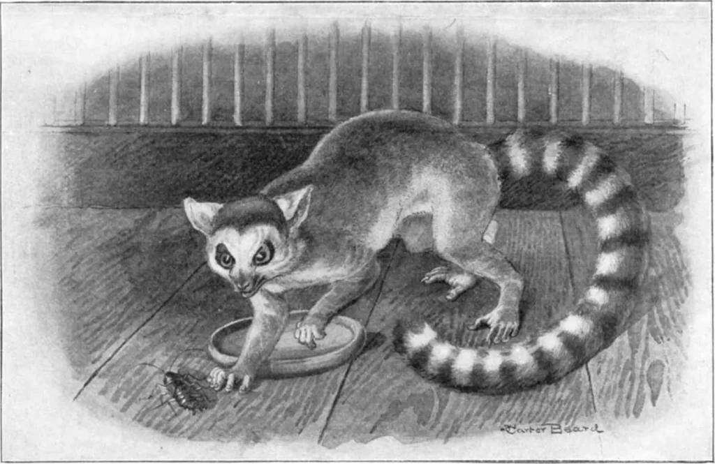 An illustration from Scientific American, Vol. 92, No. 1 (January 1905), 1905, leaf 11
