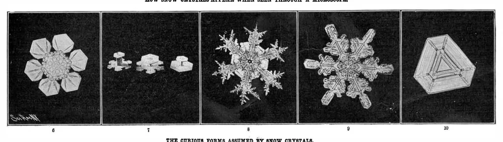 An illustration from Scientific American, Vol. 92, No. 2 (January 1905), 1905, leaf 4