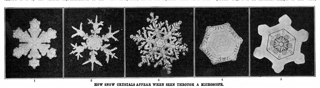 An illustration from Scientific American, Vol. 92, No. 2 (January 1905), 1905, leaf 4