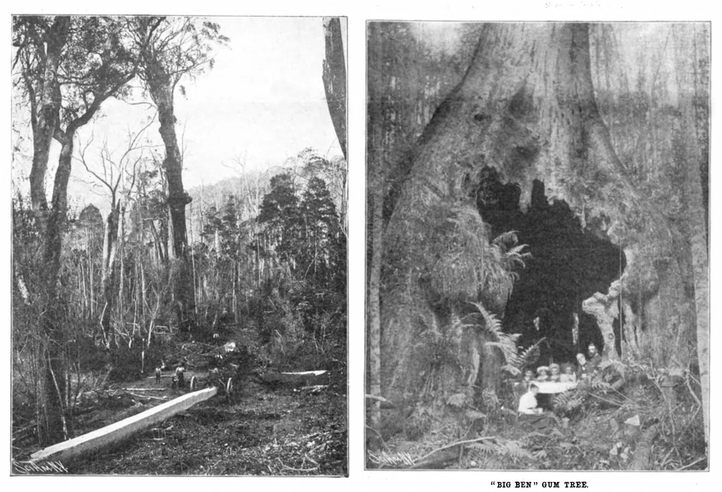 An illustration from Scientific American, Vol. 92, No. 3 (January 1905), 1905, leaf 7