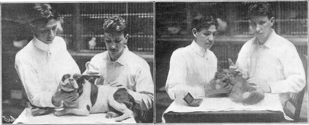 An illustration from Scientific American, Vol. 92, No. 11 (March 1905), 1905, leaf 4