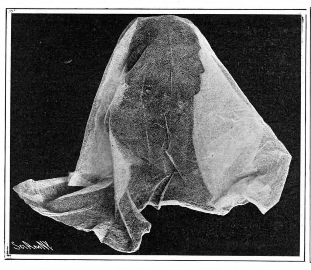 An illustration from Scientific American, Vol. 92, No. 17 (April 1905), 1905, leaf 3
