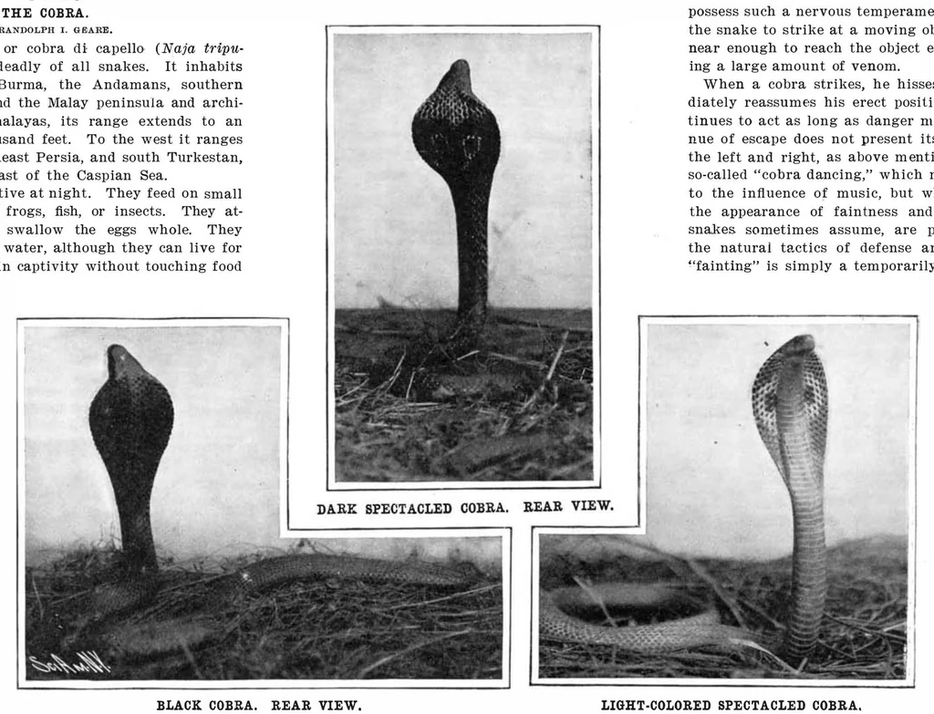 An illustration from Scientific American, Vol. 92, No. 21 (May 1905), 1905, leaf 3