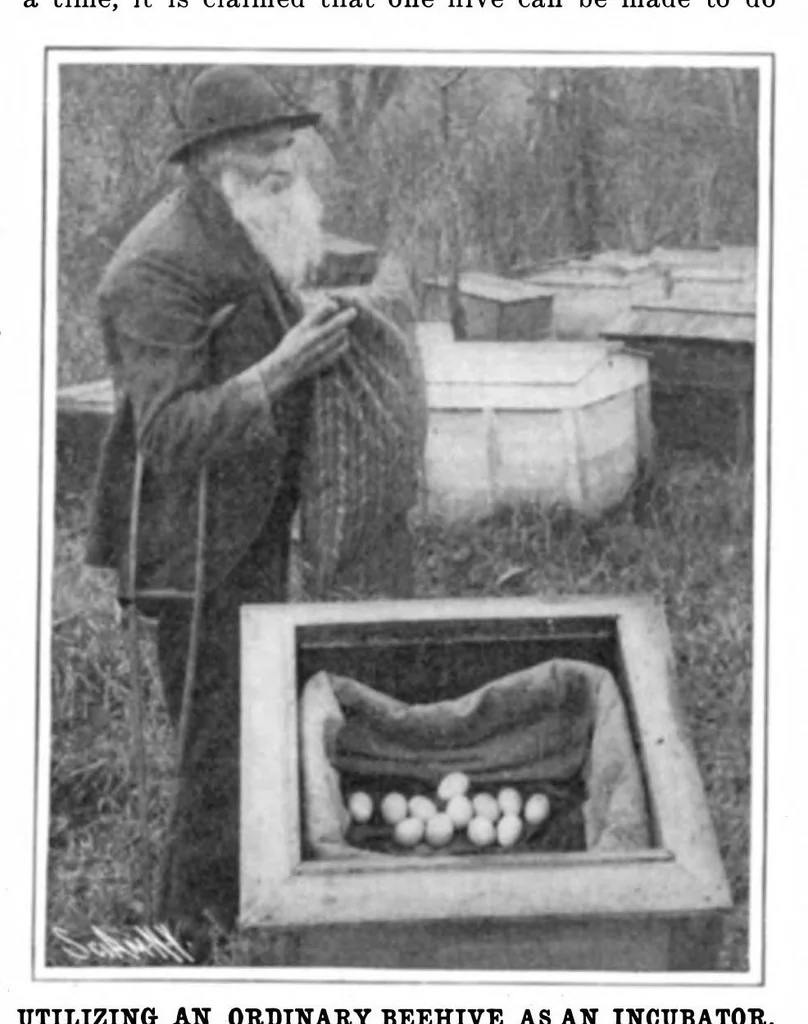 An illustration from Scientific American, Vol. 92, No. 24 (June 1905), 1905, leaf 11