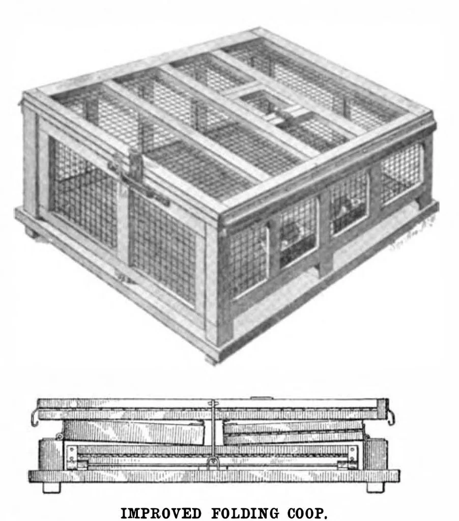 An illustration from Scientific American, Vol. 93, No. 1 (July 1905), 1905, leaf 10