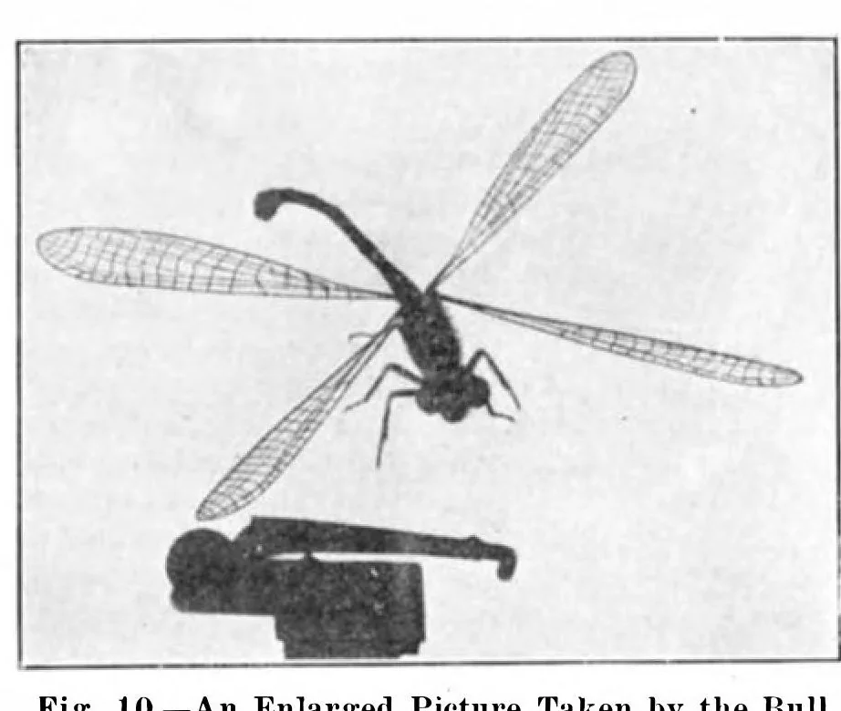 An illustration from Scientific American, Vol. 93, No. 3 (July 1905), 1905, leaf 10